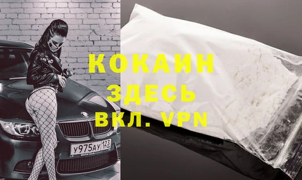 прущие крисы Белокуриха