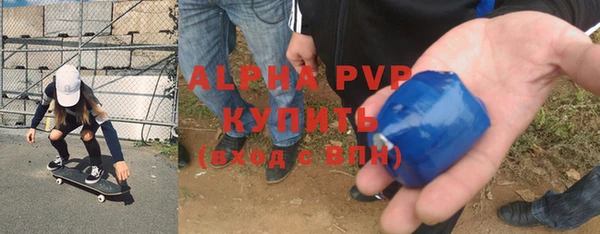 прущие крисы Белокуриха