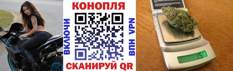 Марихуана White Widow  продажа наркотиков  Горно-Алтайск 